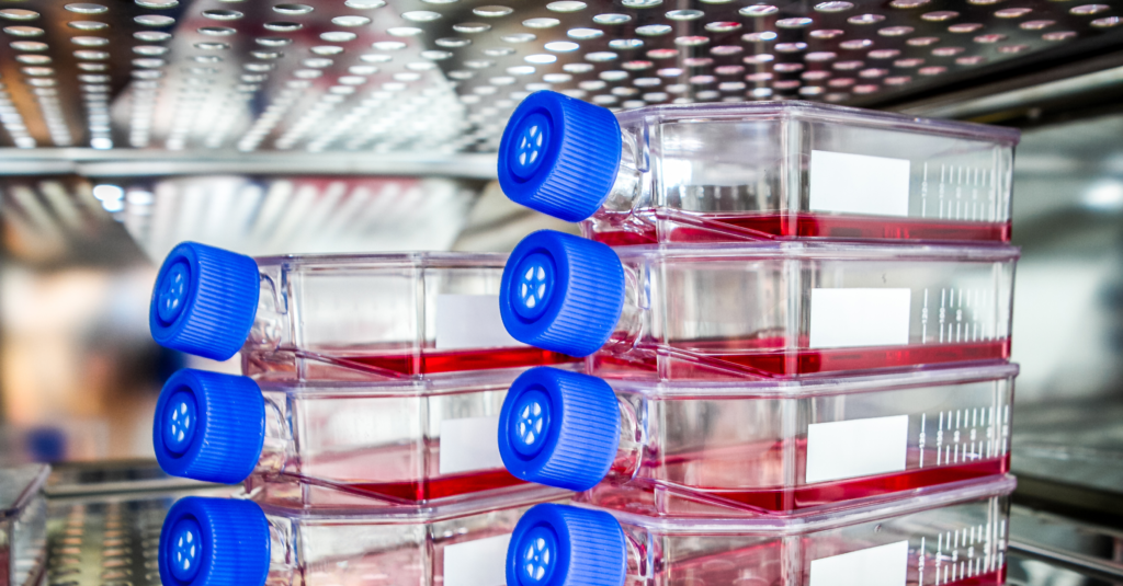 cell culture the opportunities and the challenges