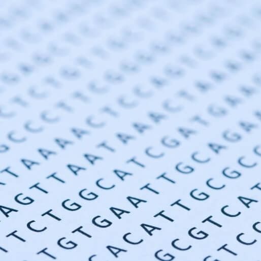 Stock image showing DNA nucleotide, ATGC repeated. Nucleic acid extraction.