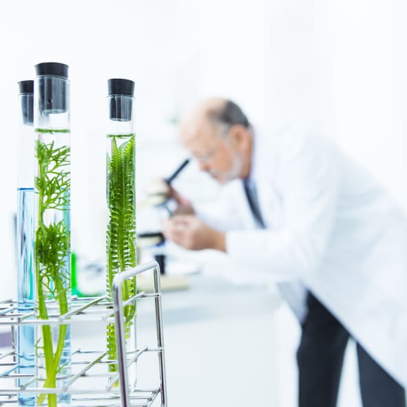 Biologist in laboratory. Selective focus: scientist defocused, main focus on test tubes with leaves.